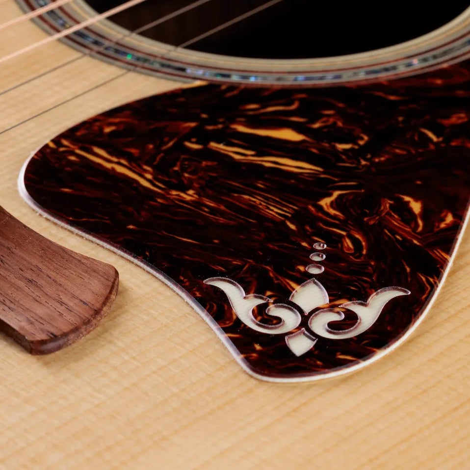 Đàn Guitar Acoustic Taylor Gold Label 917e