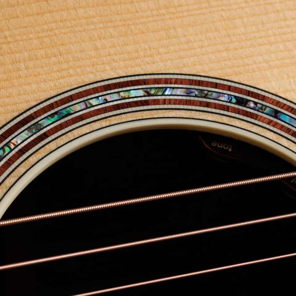 Đàn Guitar Acoustic Taylor Gold Label 917e