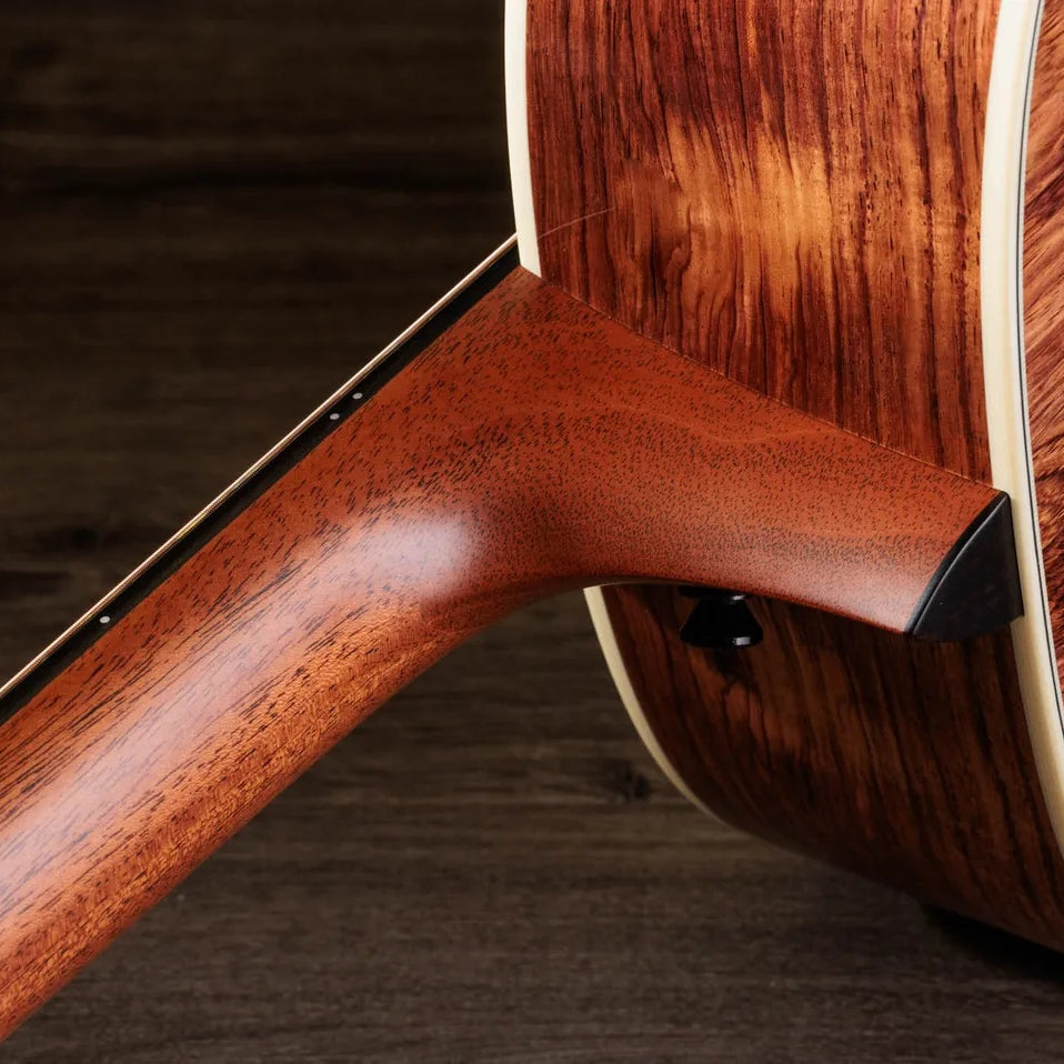 Đàn Guitar Acoustic Taylor Gold Label 917e
