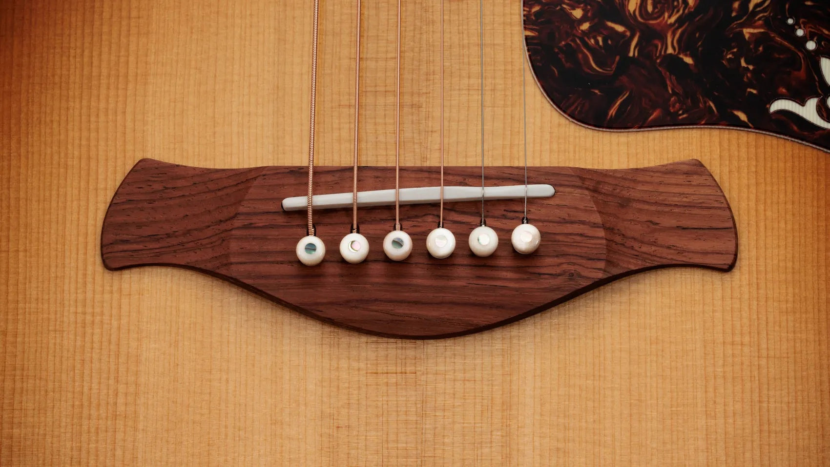 Đàn Guitar Acoustic Taylor Gold Label 917e