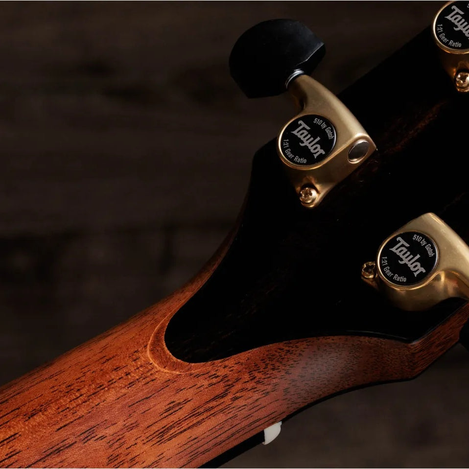 Đàn Guitar Acoustic Taylor Gold Label 917e
