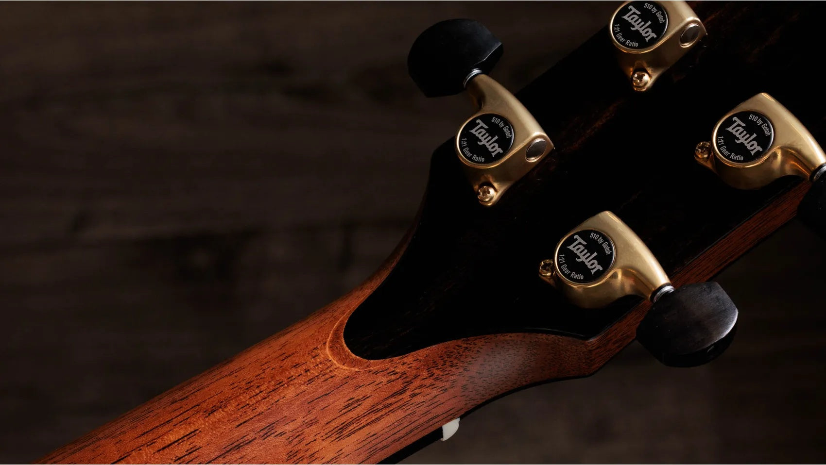 Đàn Guitar Acoustic Taylor Gold Label 917e