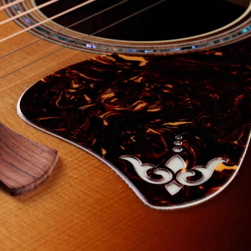 Đàn Guitar Acoustic Taylor Gold Label 917e