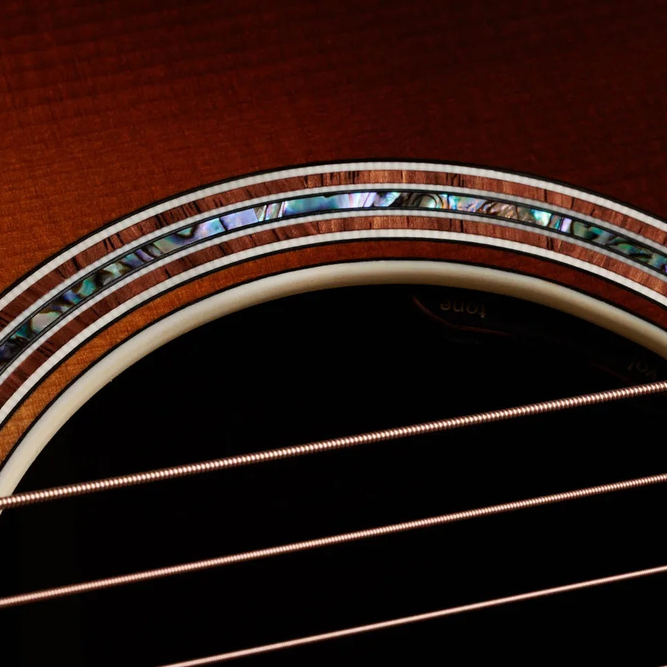 Đàn Guitar Acoustic Taylor Gold Label 917e