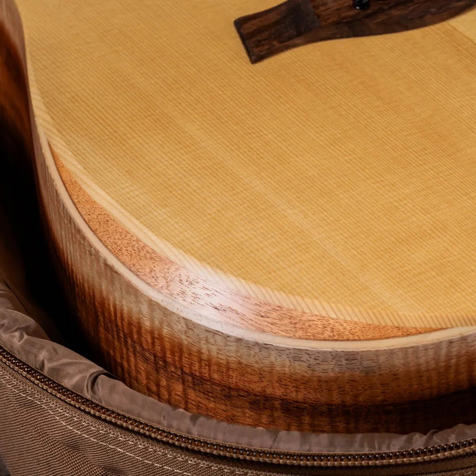Đàn Guitar Acoustic Taylor Academy 10e Limited-Edition - Natural