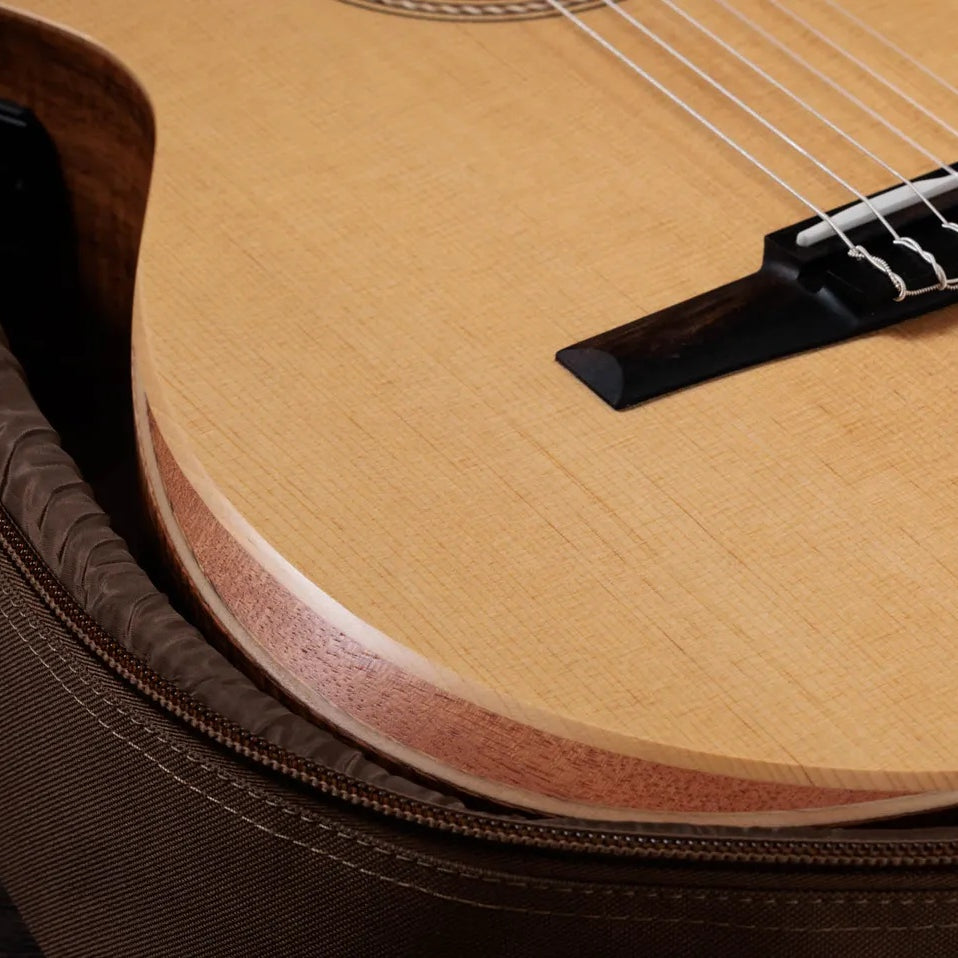 Đàn Guitar Classic Taylor Academy 12e-N Limited-Edition - Natural
