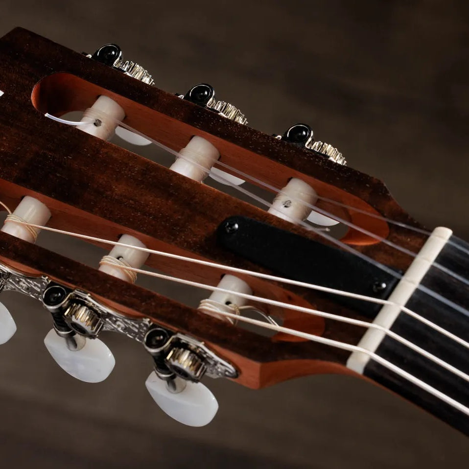 Đàn Guitar Classic Taylor Academy 12e-N Limited-Edition - Natural