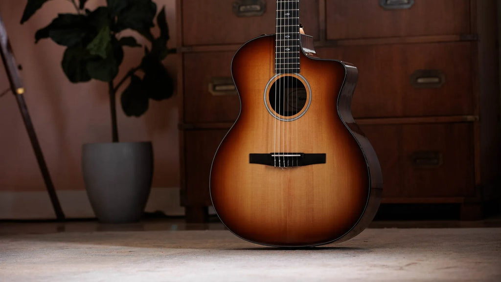 Đàn Guitar Classic Taylor Sunset Blvd 214ce-N Plus - Sunset Edgeburst