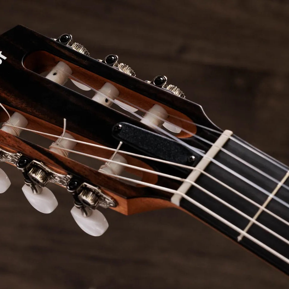 Đàn Guitar Classic Taylor Sunset Blvd 214ce-N Plus - Sunset Edgeburst