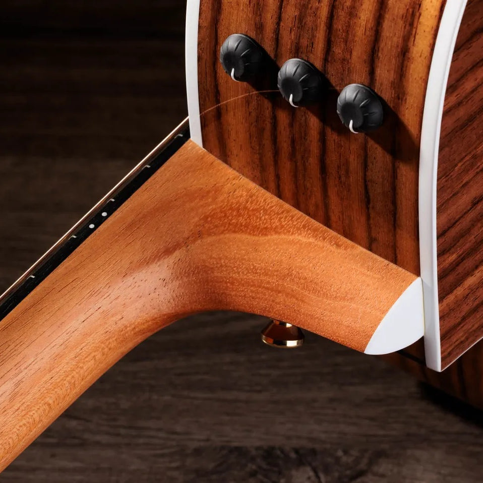 Đàn Guitar Acoustic Taylor Sunset Blvd 214ce DLX - Sunset Edgeburst
