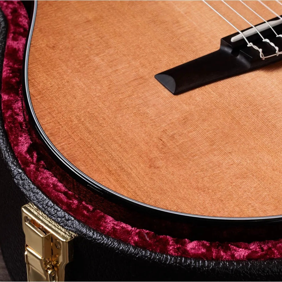 Đàn Guitar Classic Taylor Sunset Blvd 312e-N - Natural-Mai Nguyên Music