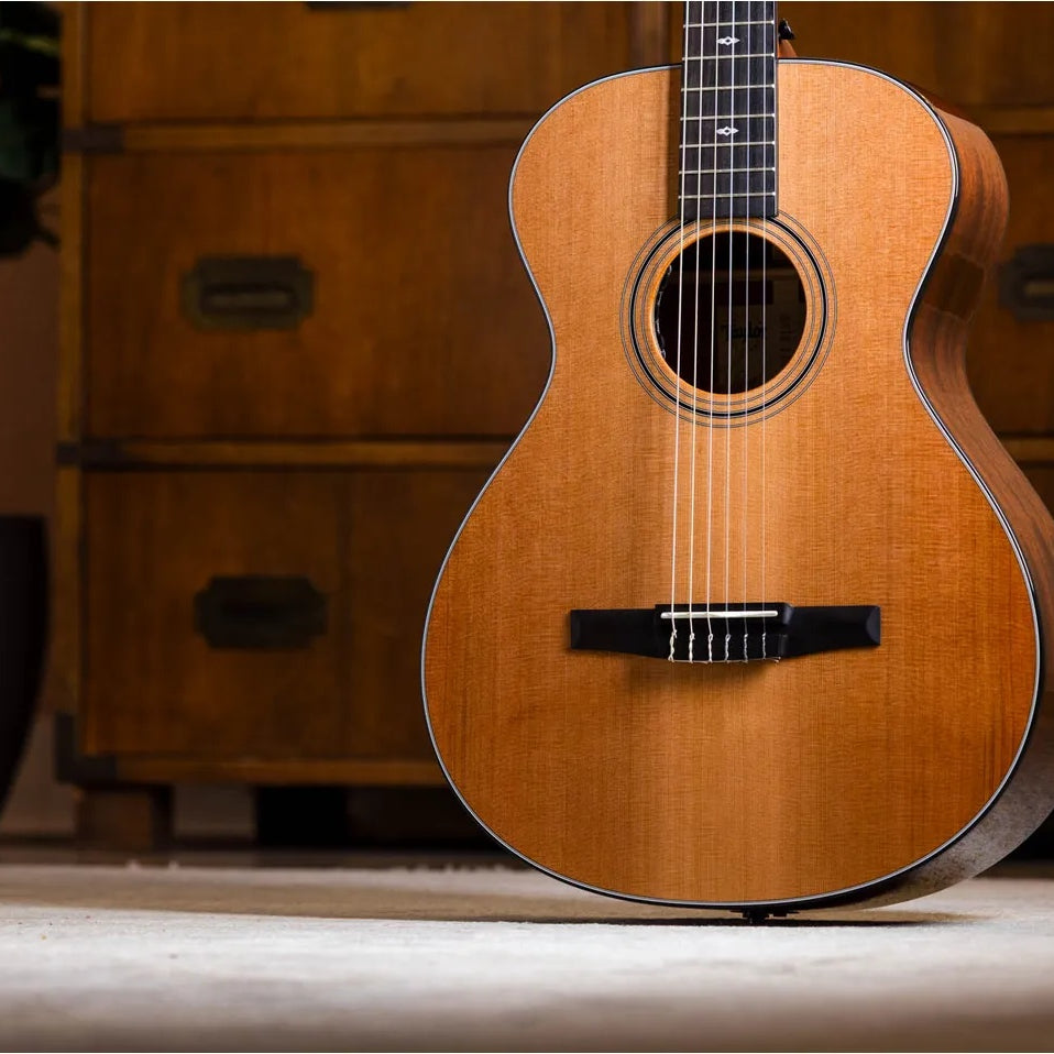 Đàn Guitar Classic Taylor Sunset Blvd 312e-N - Natural-Mai Nguyên Music