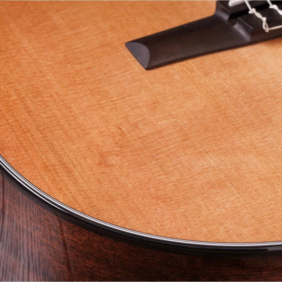 Đàn Guitar Classic Taylor Sunset Blvd 312e-N - Natural-Mai Nguyên Music