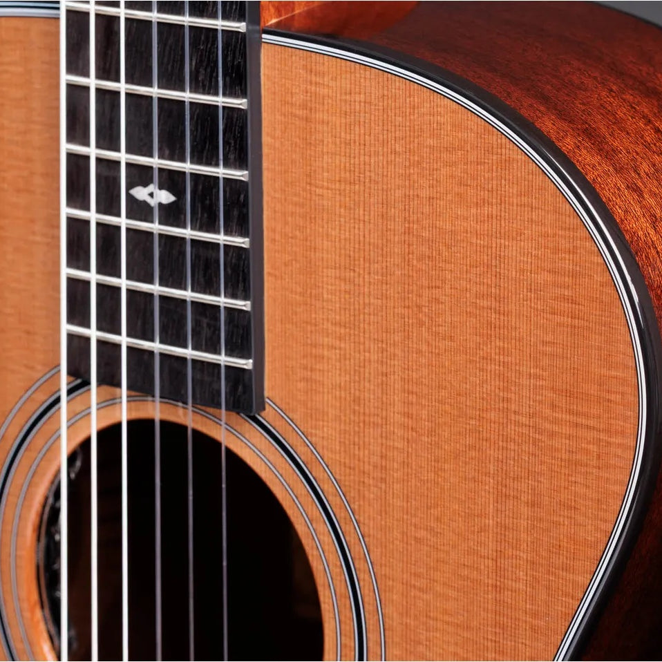 Đàn Guitar Classic Taylor Sunset Blvd 312e-N - Natural-Mai Nguyên Music