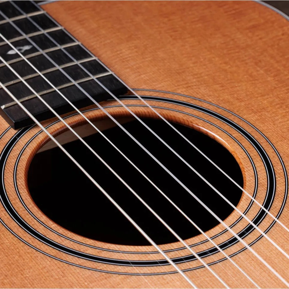Đàn Guitar Classic Taylor Sunset Blvd 312e-N - Natural-Mai Nguyên Music