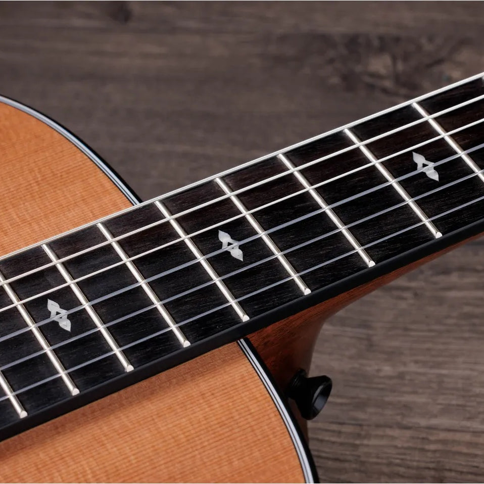 Đàn Guitar Classic Taylor Sunset Blvd 312e-N - Natural-Mai Nguyên Music