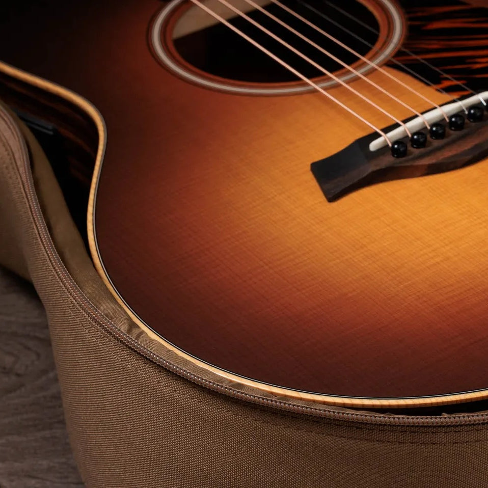 Đàn Guitar Acoustic Taylor GS Mini-e Rosewood