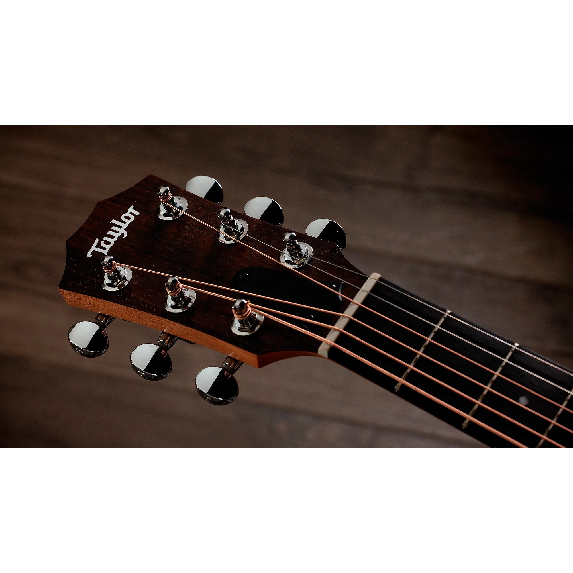 Đàn Guitar Acoustic Taylor GS Mini-e Special Edition - 2026