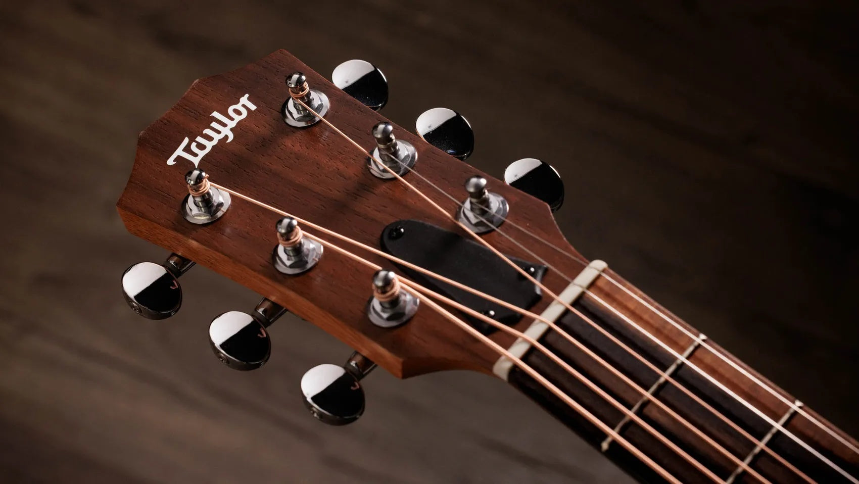 Đàn Guitar Acoustic Taylor GS Mini-e Special Edition - 2026