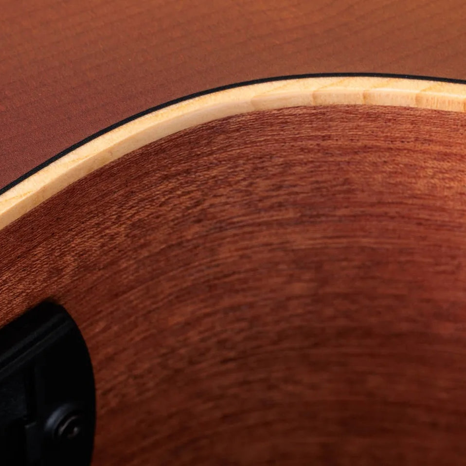 Đàn Guitar Acoustic Taylor GS Mini-e Special Edition - 2026