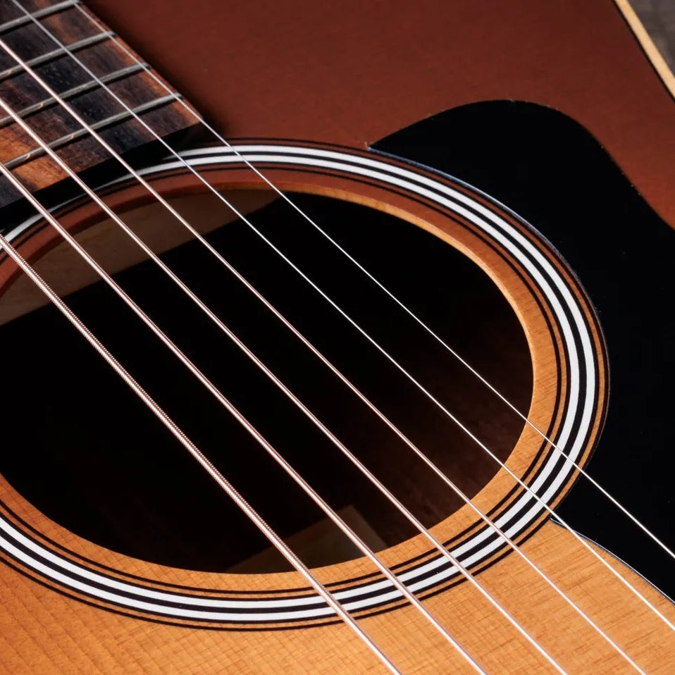 Đàn Guitar Acoustic Taylor GS Mini-e Special Edition - 2026
