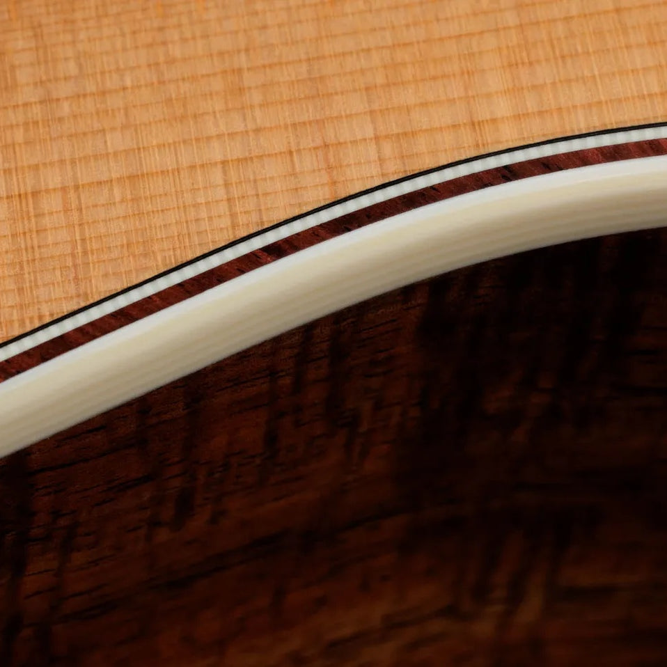 Đàn Guitar Acoustic Taylor Gold Label K14e