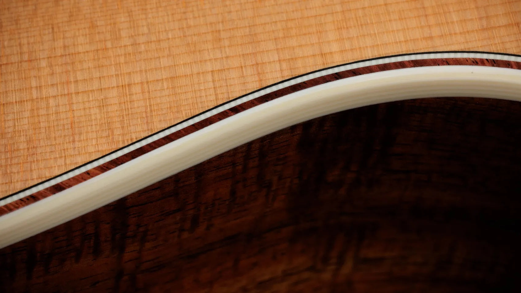 Đàn Guitar Acoustic Taylor Gold Label K14e