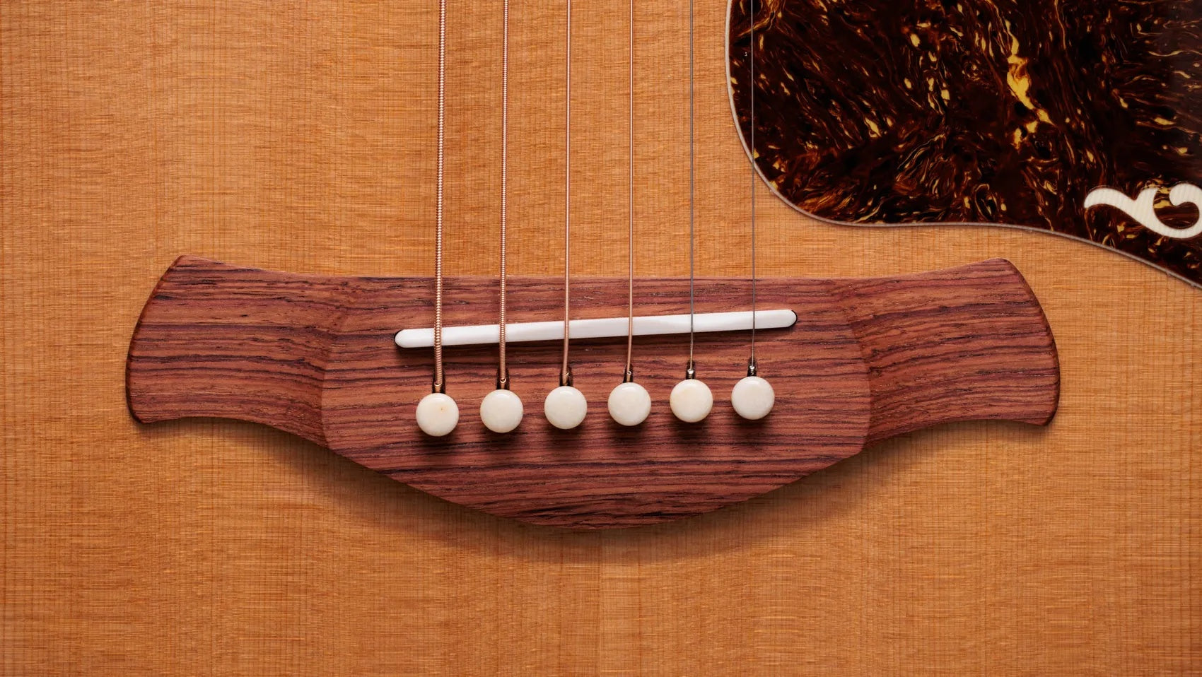 Đàn Guitar Acoustic Taylor Gold Label K14e