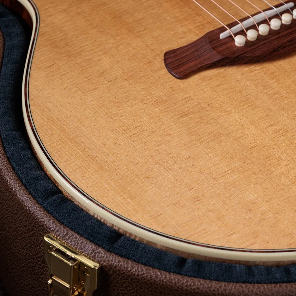 Đàn Guitar Acoustic Taylor Gold Label K14e