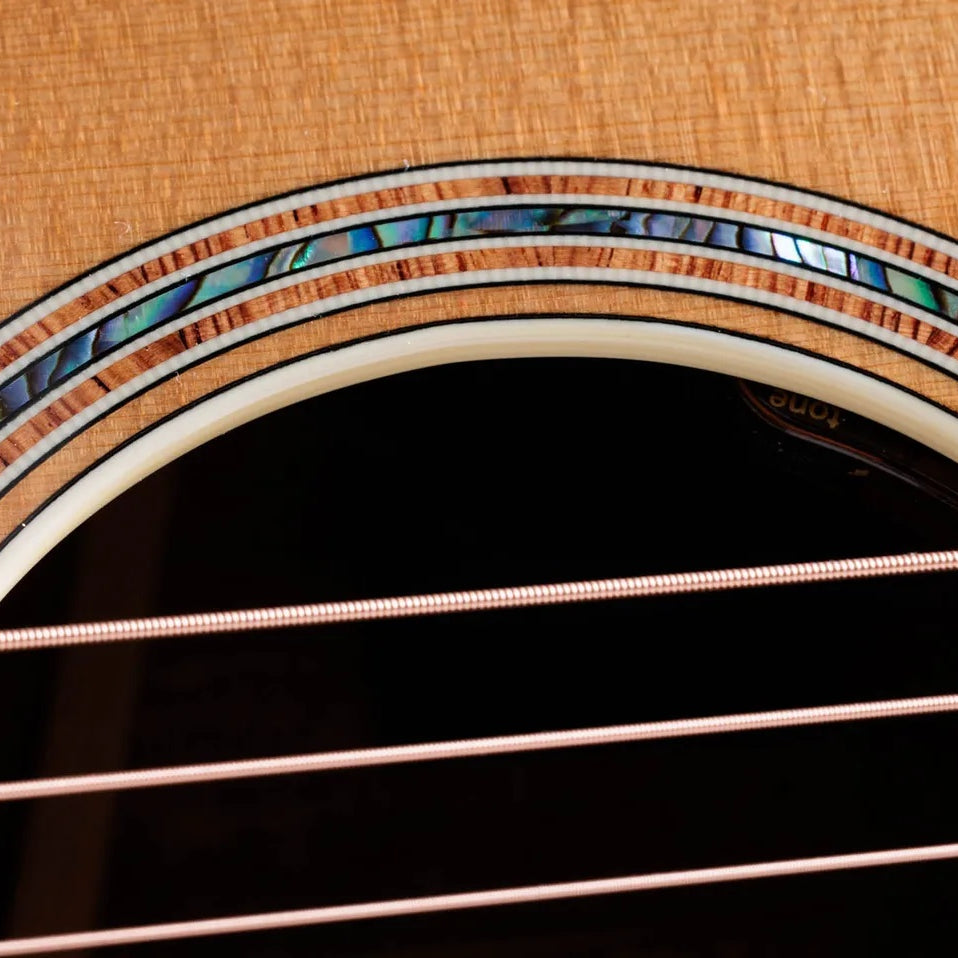 Đàn Guitar Acoustic Taylor Gold Label K14e