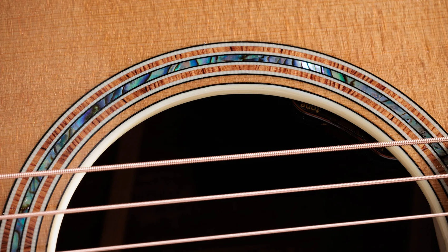 Đàn Guitar Acoustic Taylor Gold Label K14e