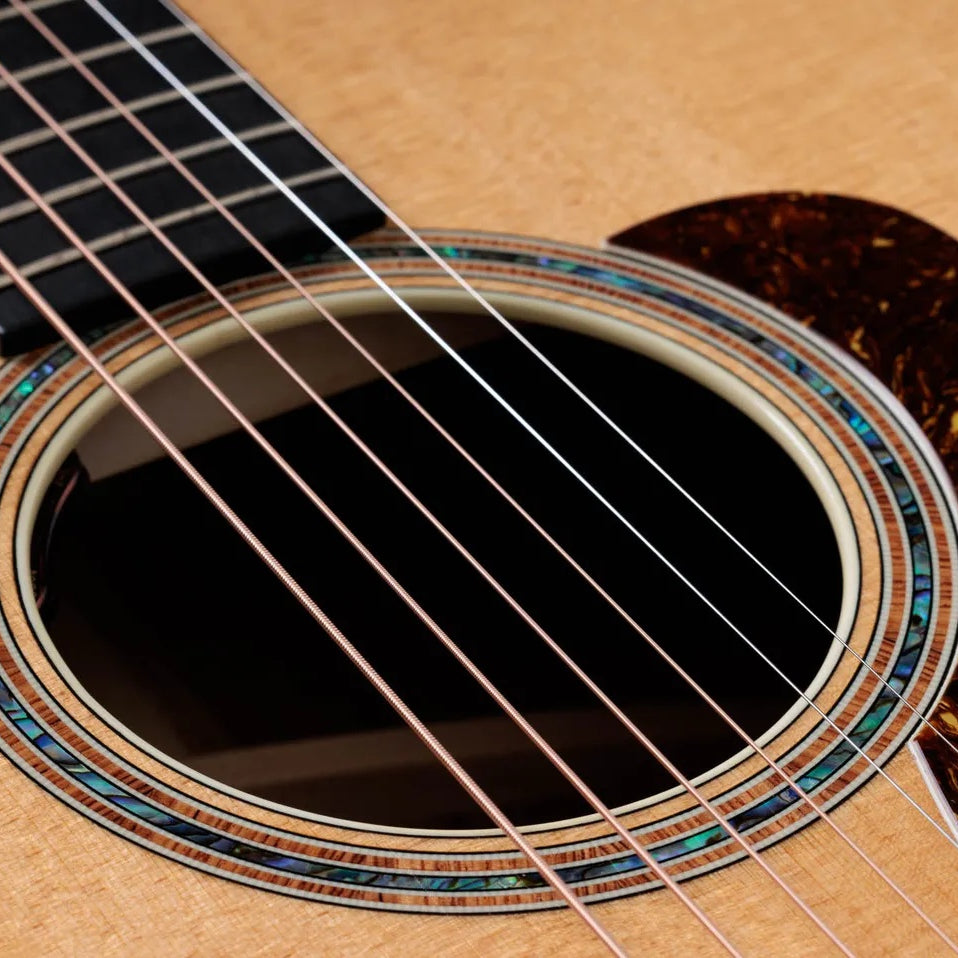 Đàn Guitar Acoustic Taylor Gold Label K14e