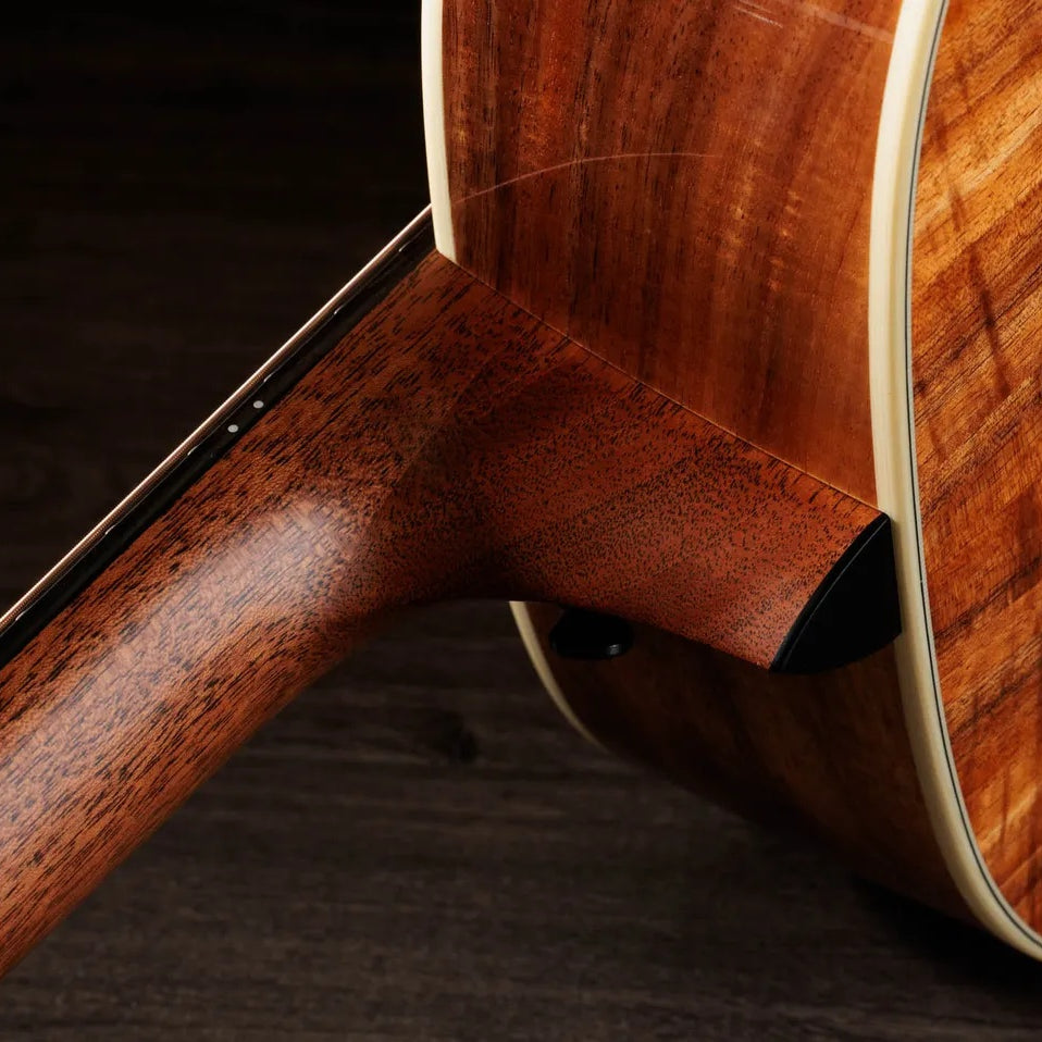 Đàn Guitar Acoustic Taylor Gold Label K14e