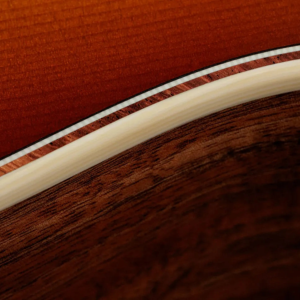 Đàn Guitar Acoustic Taylor Gold Label K14e