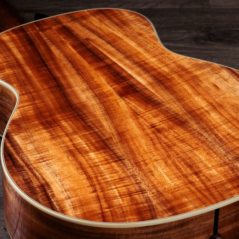Đàn Guitar Acoustic Taylor Gold Label K14e