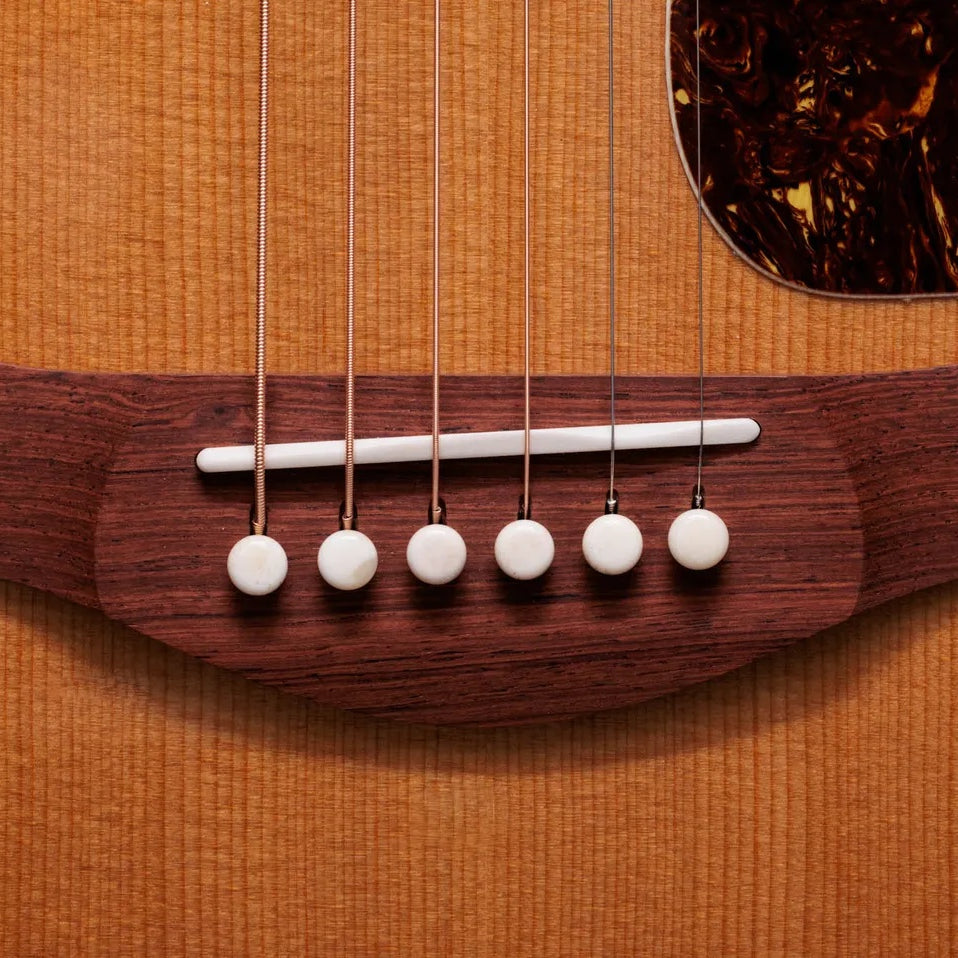Đàn Guitar Acoustic Taylor Gold Label K14e