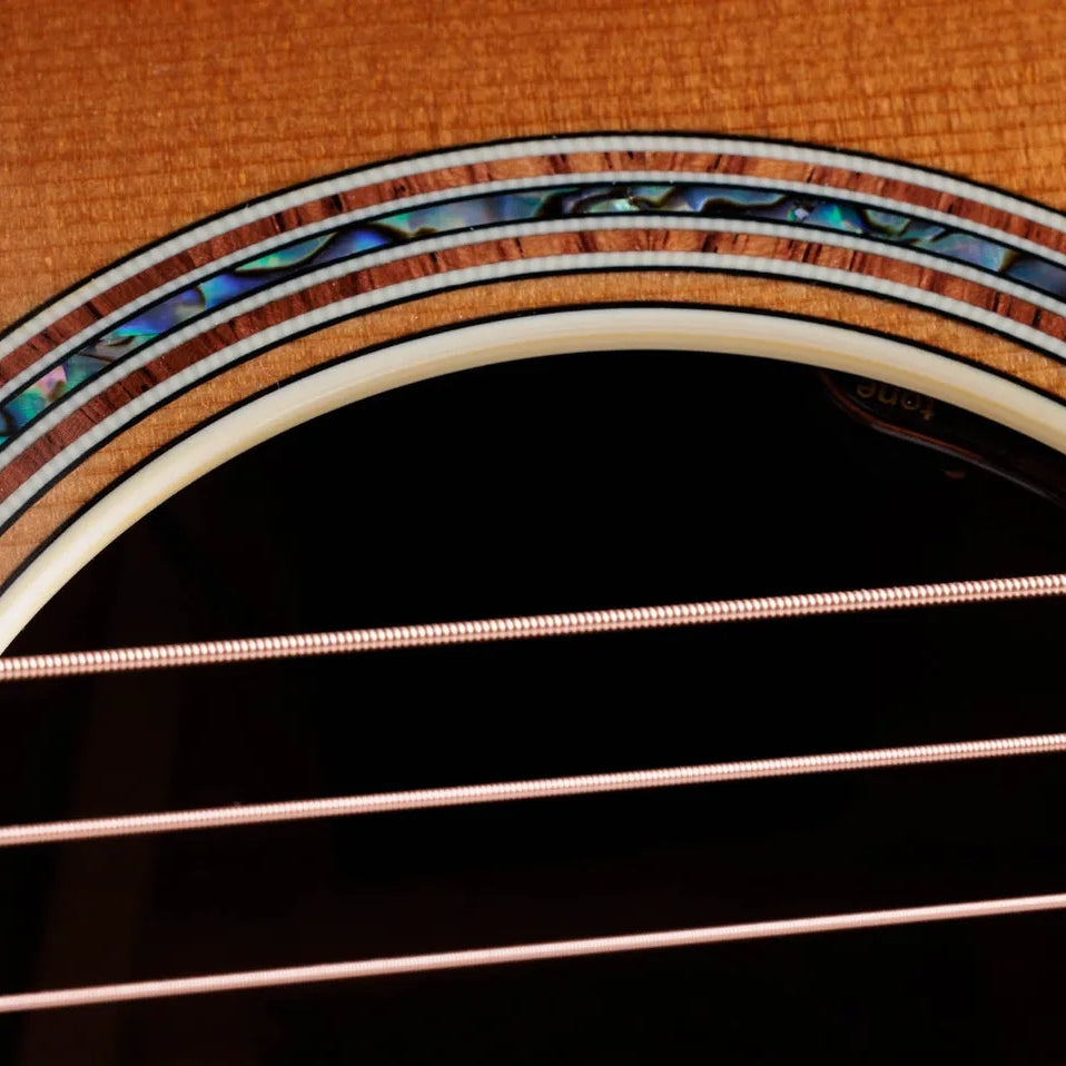 Đàn Guitar Acoustic Taylor Gold Label K14e