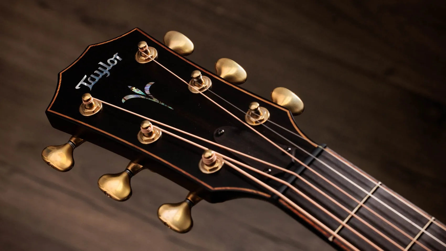 Đàn Guitar Acoustic Taylor Next Generation Builders Edition K24ce - Kona Edgeburst-Mai Nguyên Music
