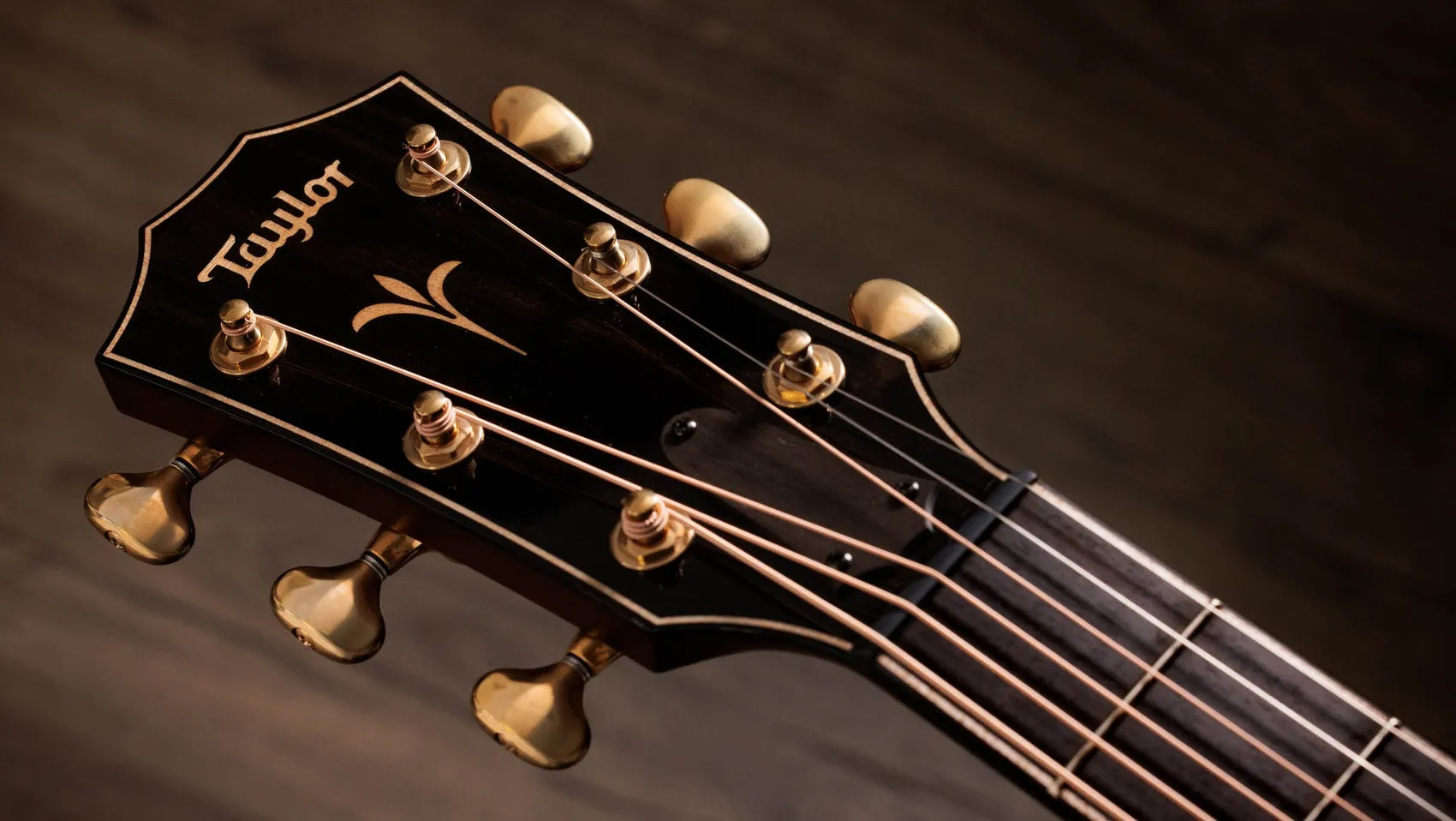 Đàn Guitar Acoustic Taylor Next Generation K24ce - Shaded Edgeburst