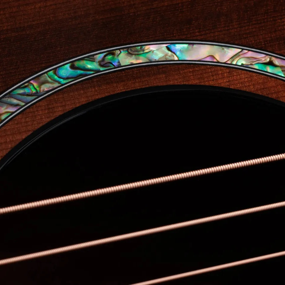 Đàn Guitar Acoustic Taylor PS14ce Ironbark/Sinker Redwood - Tobacco