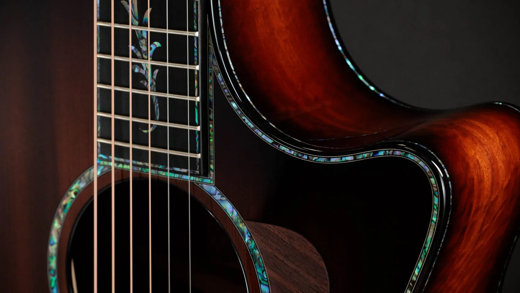 Đàn Guitar Acoustic Taylor PS14ce Ironbark/Sinker Redwood - Tobacco