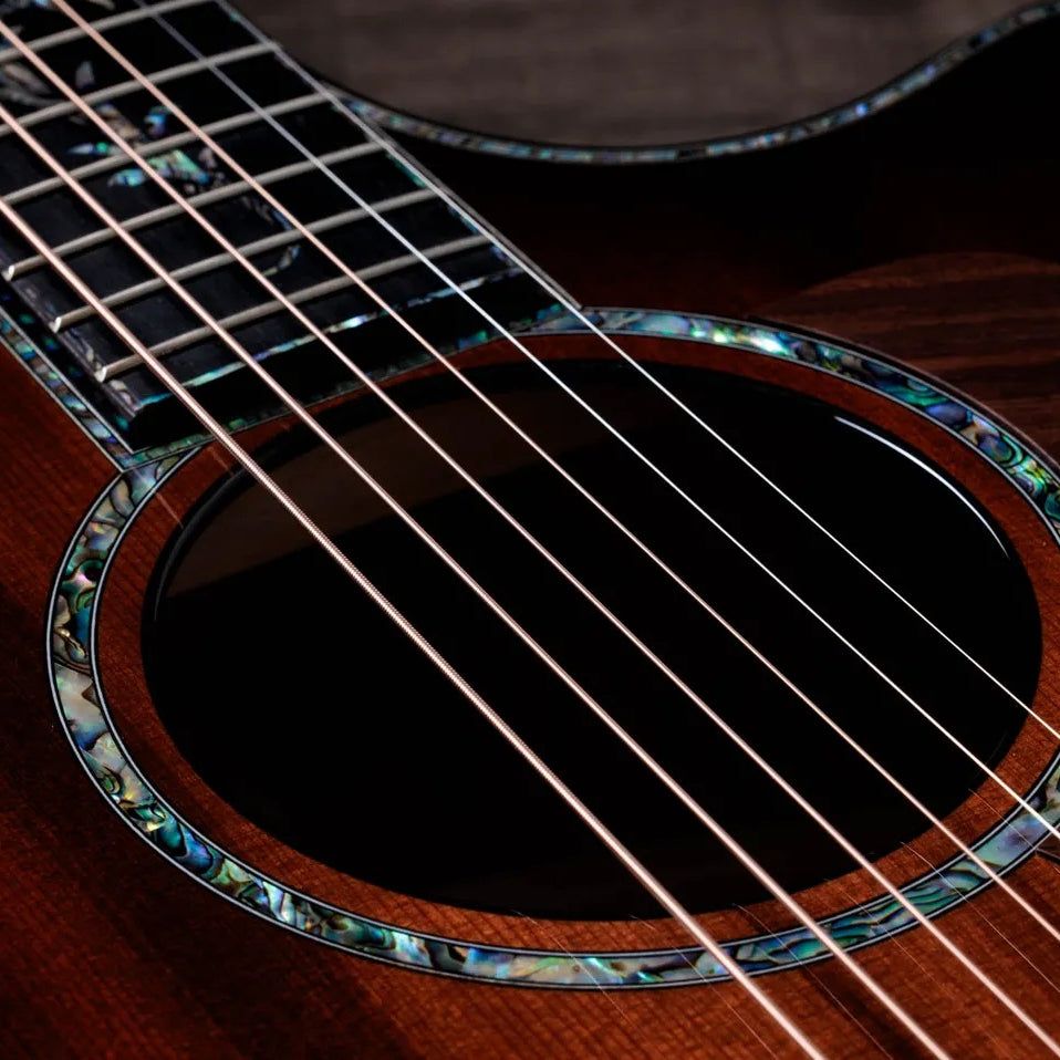 Đàn Guitar Acoustic Taylor PS14ce Ironbark/Sinker Redwood - Tobacco