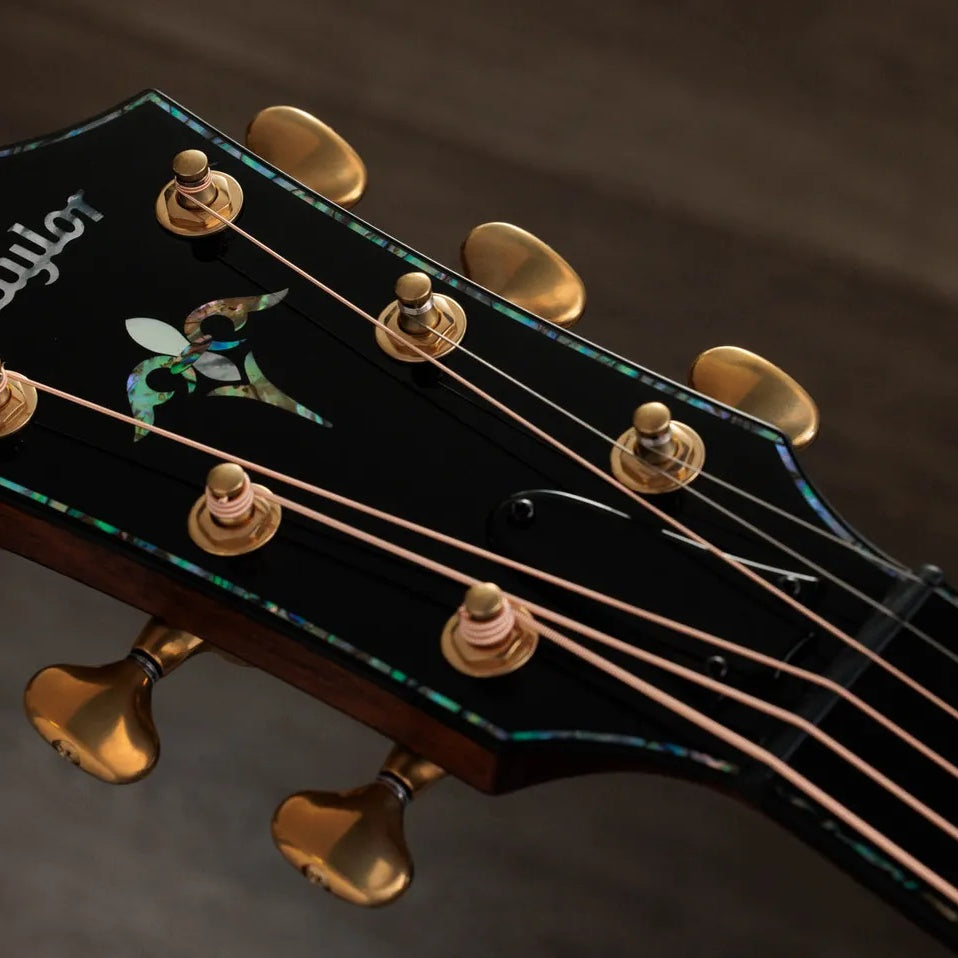 Đàn Guitar Acoustic Taylor PS14ce Ironbark/Sinker Redwood - Tobacco