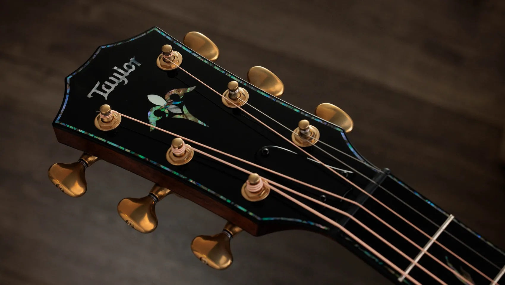 Đàn Guitar Acoustic Taylor PS14ce Ironbark/Sinker Redwood - Tobacco