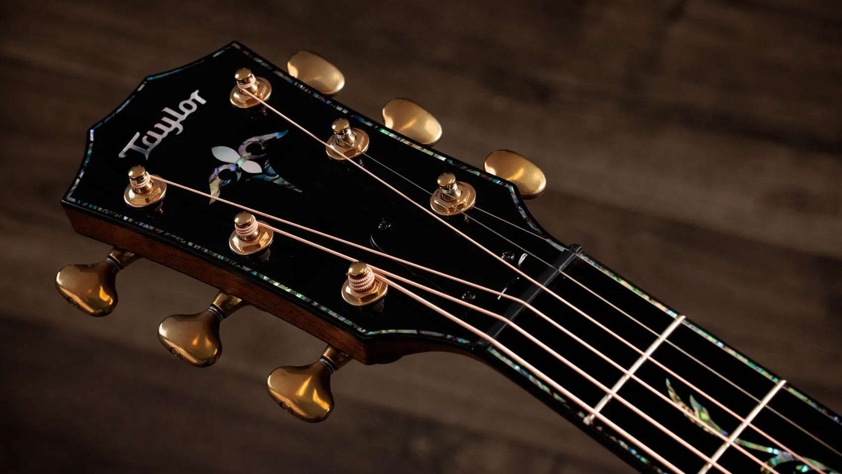 Đàn Guitar Acoustic Taylor Next Generation PS14ce - Natural