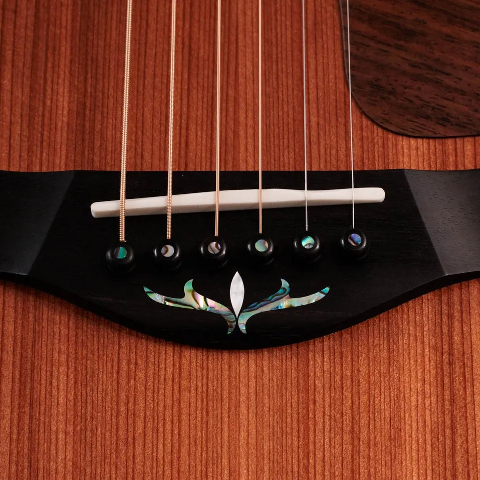Đàn Guitar Acoustic Taylor Next Generation PS14ce - Natural