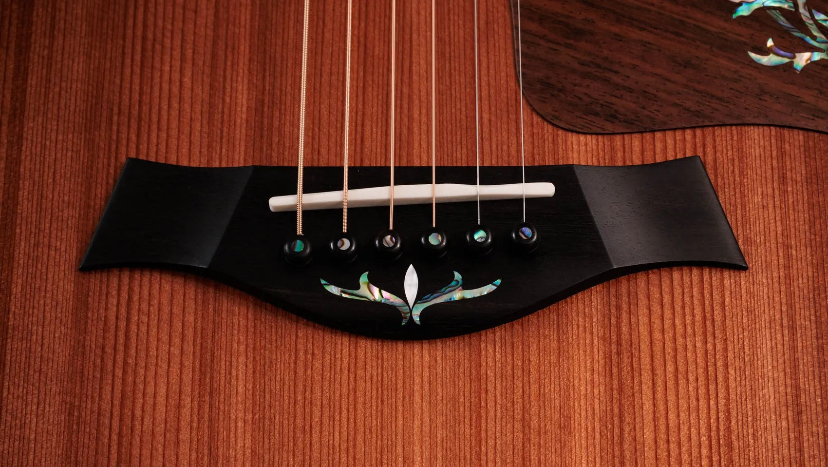 Đàn Guitar Acoustic Taylor Next Generation PS14ce - Natural