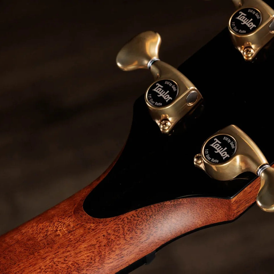 Đàn Guitar Acoustic Taylor Next Generation PS14ce - Natural