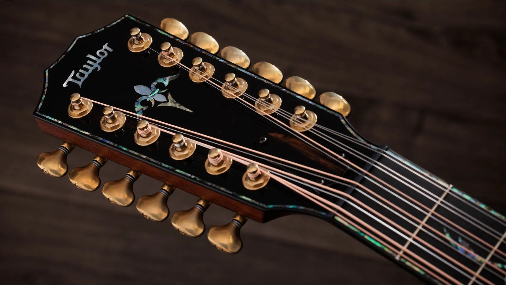Đàn Guitar Acoustic 12-dây Taylor PS54ce - Natural