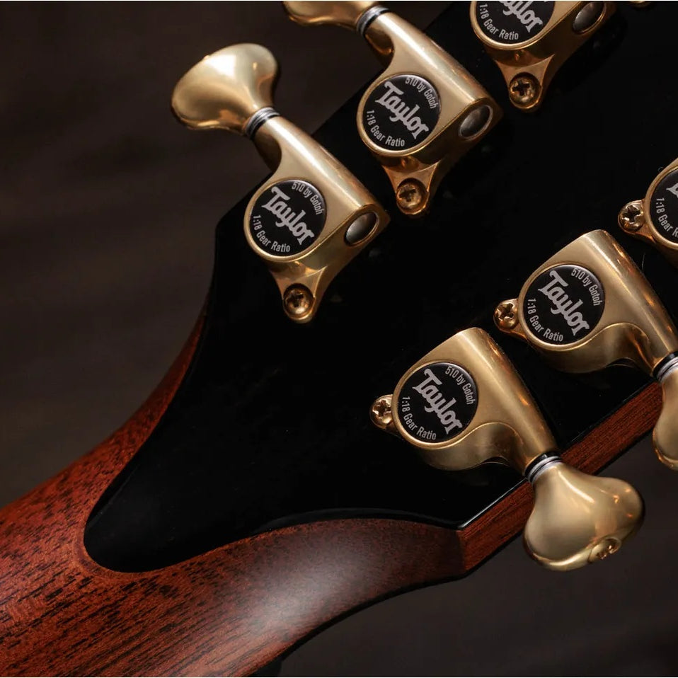 Đàn Guitar Acoustic 12-dây Taylor PS54ce - Natural
